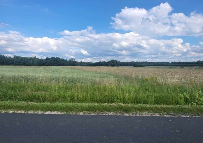 działka na sprzedaż - Widawa, Górki Grabińskie